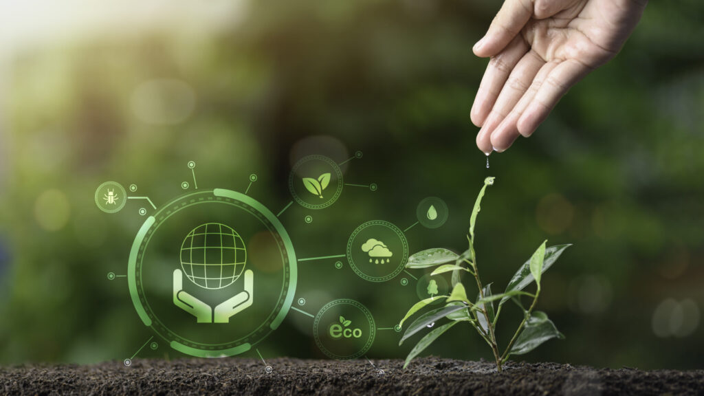 Punti di forza 1 Human hand and seedling, nature background, concept planting tre