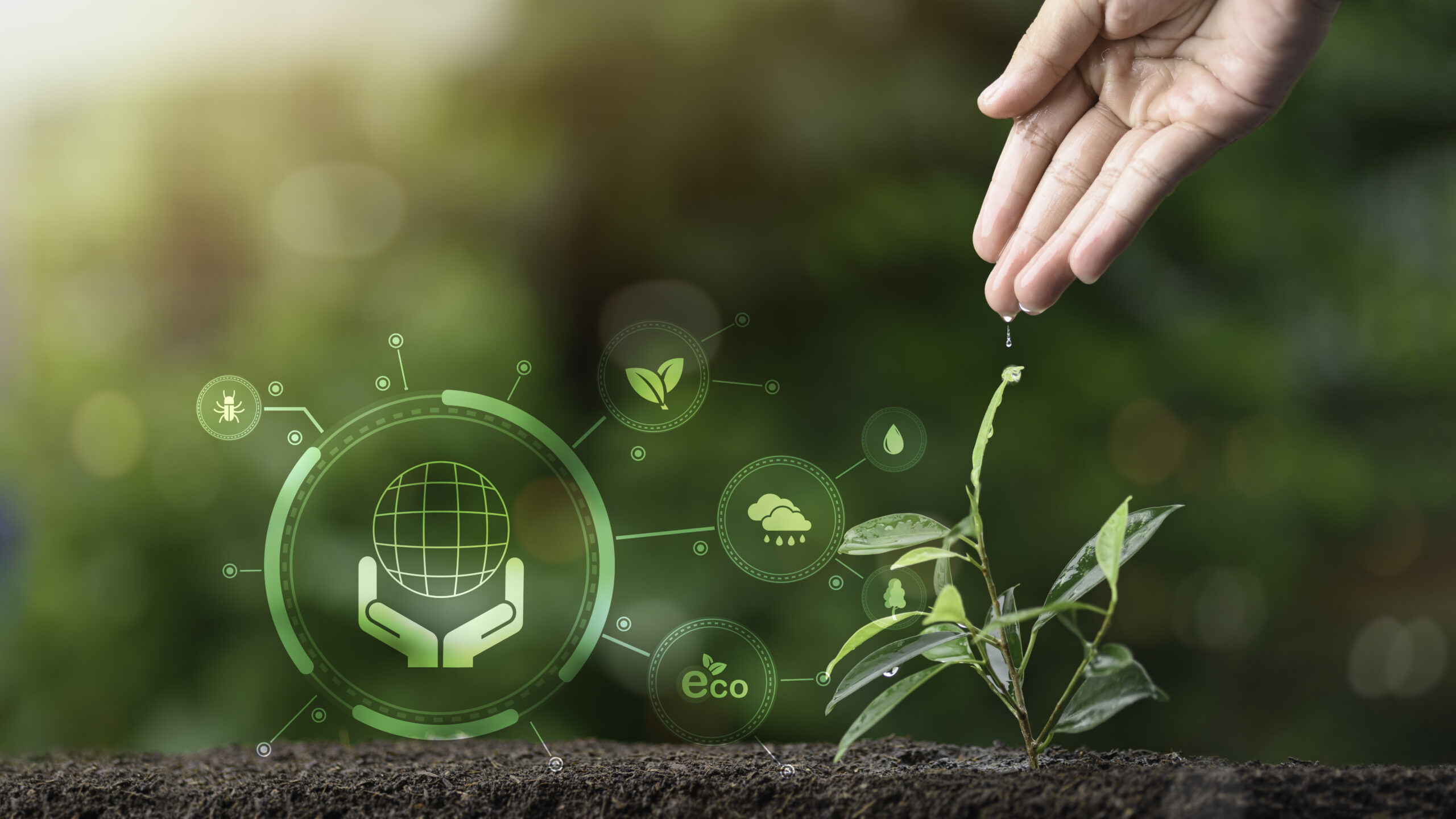 Benefit 1 Human hand and seedling, nature background, concept planting tre