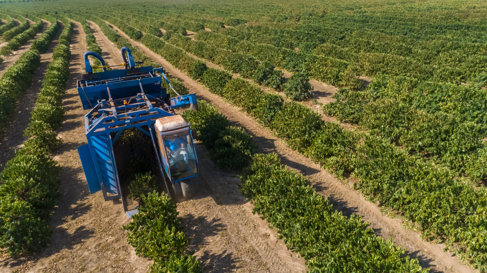 Macchine per l’agricoltura e l’edilizia 4 AdobeStock_397714592_small